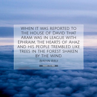 Picture 07 - Isaiah 7:2 BSB - When it was reported to the house of David that - Bible Verse Picture