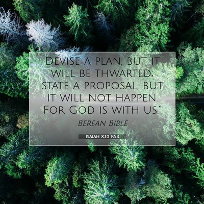 Picture 07 - Isaiah 8:10 BSB - Devise a plan, but it will be thwarted; state a - Bible Verse Picture
