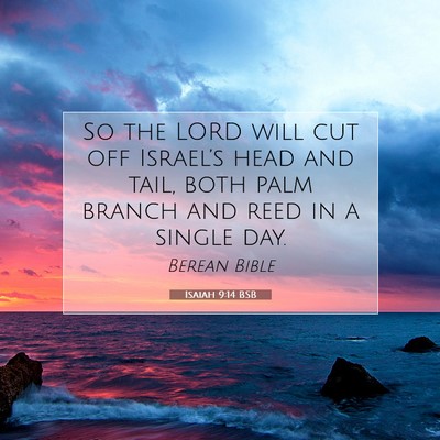 Picture 07 - Isaiah 9:14 BSB - So the LORD will cut off Israel’s head and - Bible Verse Picture