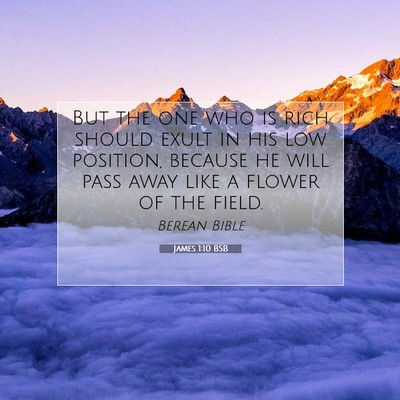 Picture 07 - James 1:10 BSB - But the one who is rich should exult in his low - Bible Verse Picture
