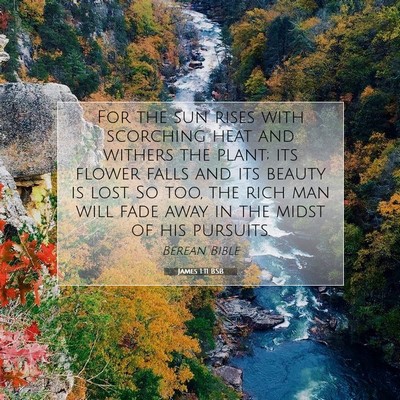 Picture 07 - James 1:11 BSB - For the sun rises with scorching heat and withers - Bible Verse Picture