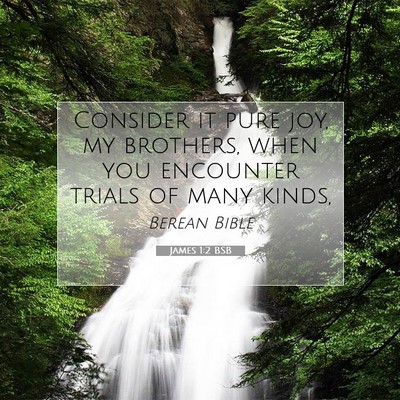 Picture 07 - James 1:2 BSB - Consider it pure joy, my brothers, when you - Bible Verse Picture