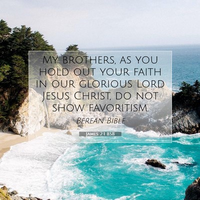 Picture 07 - James 2:1 BSB - My brothers, as you hold out your faith in our - Bible Verse Picture