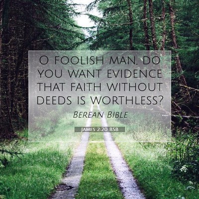 Picture 07 - James 2:20 BSB - O foolish man, do you want evidence that faith - Bible Verse Picture
