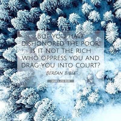 Picture 07 - James 2:6 BSB - But you have dishonored the poor. Is it not the - Bible Verse Picture