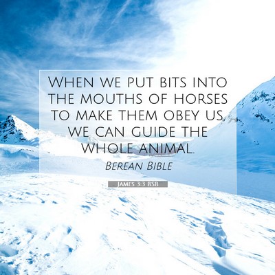 Picture 07 - James 3:3 BSB - When we put bits into the mouths of horses to - Bible Verse Picture