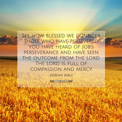Picture 07 - James 5:11 BSB - See how blessed we consider those who have - Bible Verse Picture