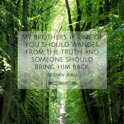 Picture 07 - James 5:19 BSB - My brothers, if one of you should wander from the - Bible Verse Picture