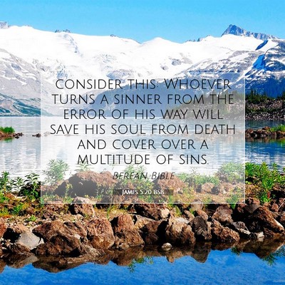 Picture 07 - James 5:20 BSB - consider this: Whoever turns a sinner from the - Bible Verse Picture