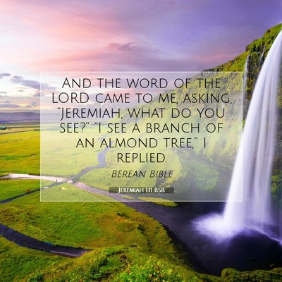 Picture 07 - Jeremiah 1:11 BSB - And the word of the LORD came to me, asking, - Bible Verse Picture