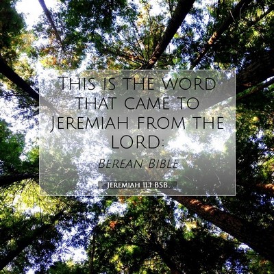 Picture 07 - Jeremiah 11:1 BSB - This is the word that came to Jeremiah from the - Bible Verse Picture
