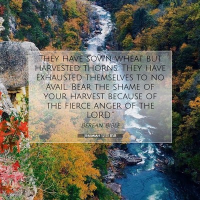 Picture 07 - Jeremiah 12:13 BSB - They have sown wheat but harvested thorns. They - Bible Verse Picture