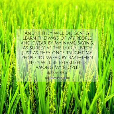 Picture 07 - Jeremiah 12:16 BSB - And if they will diligently learn the ways of My - Bible Verse Picture