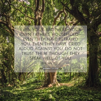Picture 07 - Jeremiah 12:6 BSB - Even your brothers—your own father’s - Bible Verse Picture