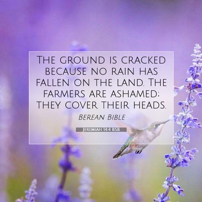 Picture 07 - Jeremiah 14:4 BSB - The ground is cracked because no rain has fallen - Bible Verse Picture