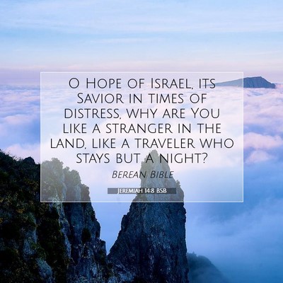 Picture 07 - Jeremiah 14:8 BSB - O Hope of Israel, its Savior in times of - Bible Verse Picture