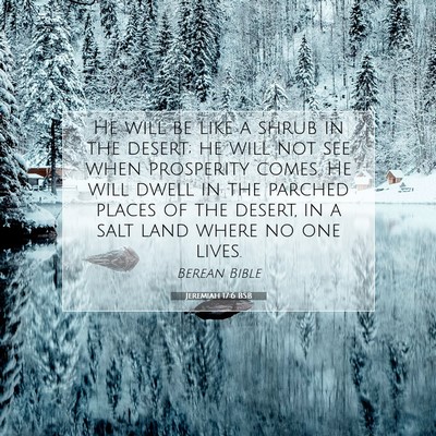 Picture 07 - Jeremiah 17:6 BSB - He will be like a shrub in the desert; he will - Bible Verse Picture
