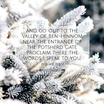 Picture 07 - Jeremiah 19:2 BSB - and go out to the Valley of Ben-hinnom near the - Bible Verse Picture
