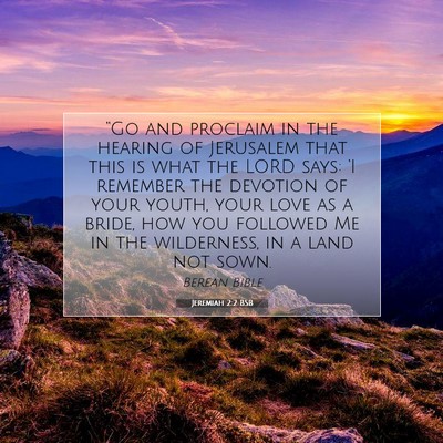 Picture 07 - Jeremiah 2:2 BSB - “Go and proclaim in the hearing of Jerusalem - Bible Verse Picture