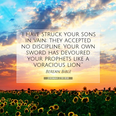 Picture 07 - Jeremiah 2:30 BSB - “I have struck your sons in vain; they accepted - Bible Verse Picture