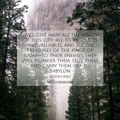 Picture 07 - Jeremiah 20:5 BSB - I will give away all the wealth of this - Bible Verse Picture