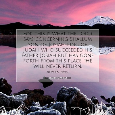 Picture 07 - Jeremiah 22:11 BSB - For this is what the LORD says concerning Shallum - Bible Verse Picture