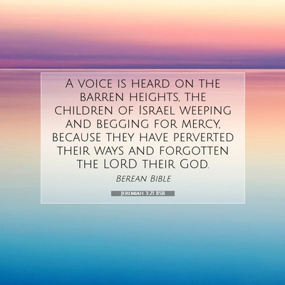 Picture 07 - Jeremiah 3:21 BSB - A voice is heard on the barren heights, the - Bible Verse Picture
