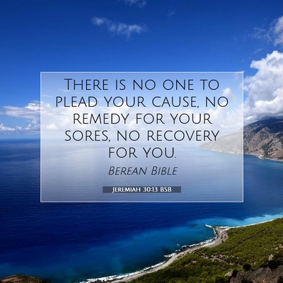 Picture 07 - Jeremiah 30:13 BSB - There is no one to plead your cause, no remedy - Bible Verse Picture