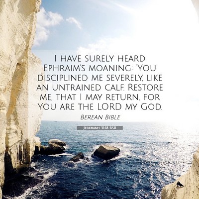 Picture 07 - Jeremiah 31:18 BSB - I have surely heard Ephraim’s moaning: ‘You - Bible Verse Picture