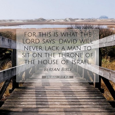 Picture 07 - Jeremiah 33:17 BSB - For this is what the LORD says: David will never - Bible Verse Picture