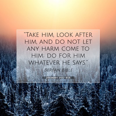Picture 07 - Jeremiah 39:12 BSB - “Take him, look after him, and do not let any - Bible Verse Picture