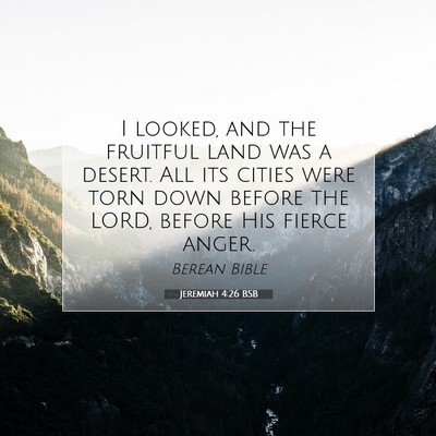 Picture 07 - Jeremiah 4:26 BSB - I looked, and the fruitful land was a desert. All - Bible Verse Picture