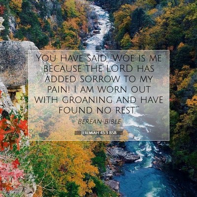 Picture 07 - Jeremiah 45:3 BSB - You have said, ‘Woe is me because the LORD has - Bible Verse Picture