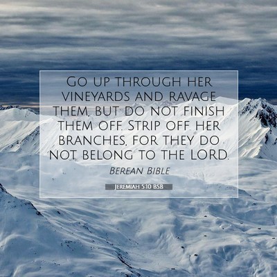Picture 07 - Jeremiah 5:10 BSB - Go up through her vineyards and ravage them, but - Bible Verse Picture