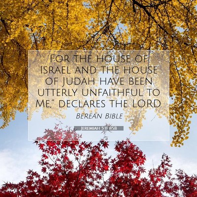 Picture 07 - Jeremiah 5:11 BSB - For the house of Israel and the house of Judah - Bible Verse Picture
