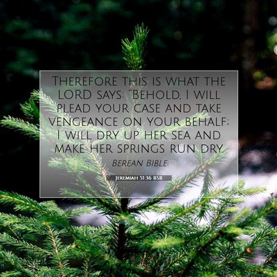 Picture 07 - Jeremiah 51:36 BSB - Therefore this is what the LORD says: “Behold, - Bible Verse Picture