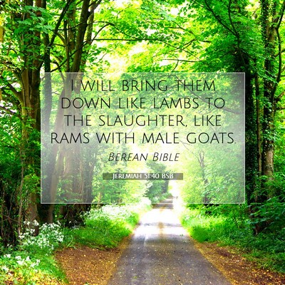 Picture 07 - Jeremiah 51:40 BSB - I will bring them down like lambs to the - Bible Verse Picture