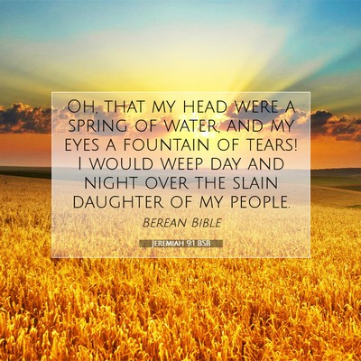 Picture 07 - Jeremiah 9:1 BSB - Oh, that my head were a spring of water, and my - Bible Verse Picture
