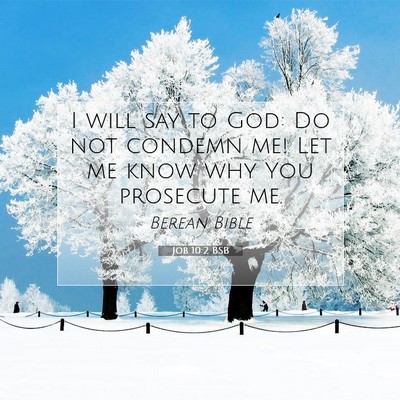 Picture 07 - Job 10:2 BSB - I will say to God: Do not condemn me! Let me know - Bible Verse Picture