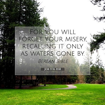 Picture 07 - Job 11:16 BSB - For you will forget your misery, recalling it - Bible Verse Picture