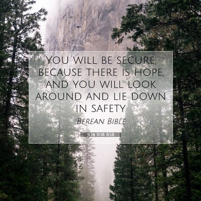Picture 07 - Job 11:18 BSB - You will be secure, because there is hope, and - Bible Verse Picture