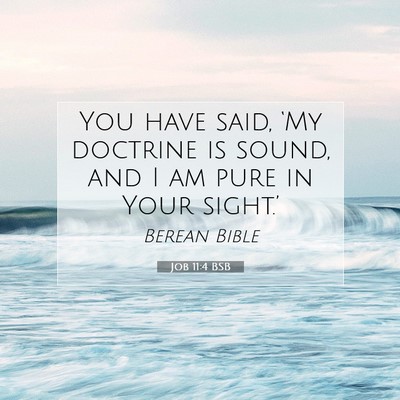 Picture 07 - Job 11:4 BSB - You have said, ‘My doctrine is sound, and I am - Bible Verse Picture