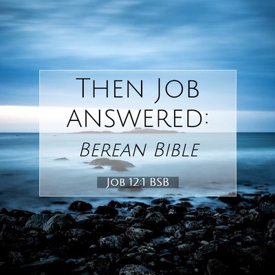 Picture 07 - Job 12:1 BSB - Then Job - Bible Verse Picture
