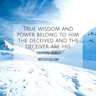 Picture 07 - Job 12:16 BSB - True wisdom and power belong to Him. The deceived - Bible Verse Picture
