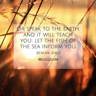 Picture 07 - Job 12:8 BSB - Or speak to the earth, and it will teach you; let - Bible Verse Picture