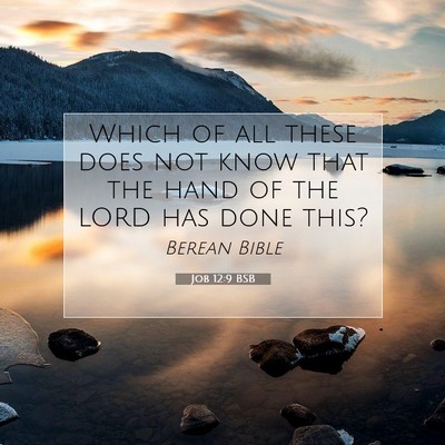 Picture 07 - Job 12:9 BSB - Which of all these does not know that the hand of - Bible Verse Picture