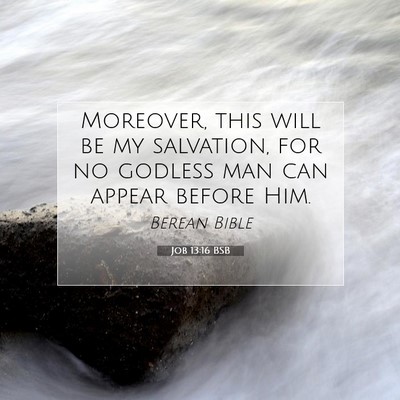Picture 07 - Job 13:16 BSB - Moreover, this will be my salvation, for no - Bible Verse Picture