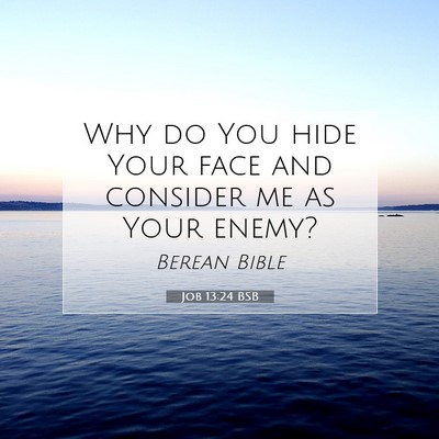 Picture 07 - Job 13:24 BSB - Why do You hide Your face and consider me as Your - Bible Verse Picture