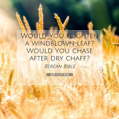 Picture 07 - Job 13:25 BSB - Would You frighten a windblown leaf? Would You - Bible Verse Picture