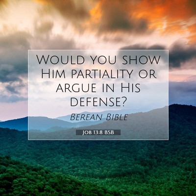 Picture 07 - Job 13:8 BSB - Would you show Him partiality or argue in His - Bible Verse Picture